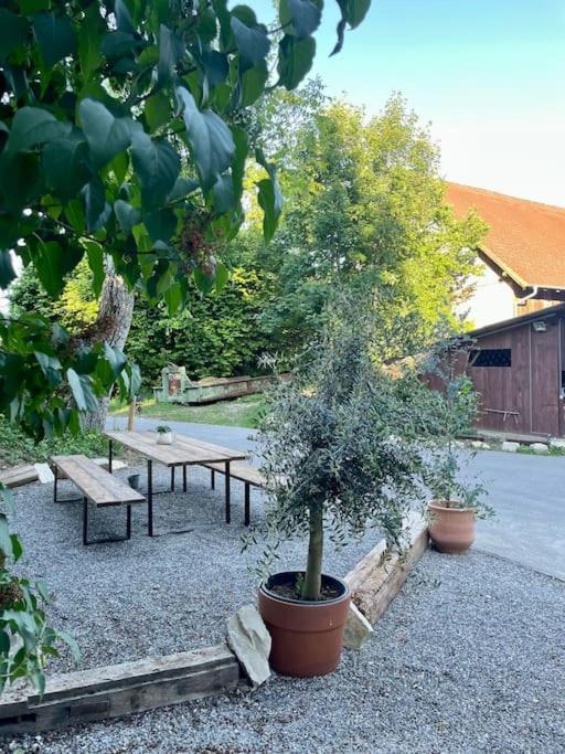 Zauberhafte Ferienscheune Im Hofgut Alte Oelmuehle Енген Екстериор снимка