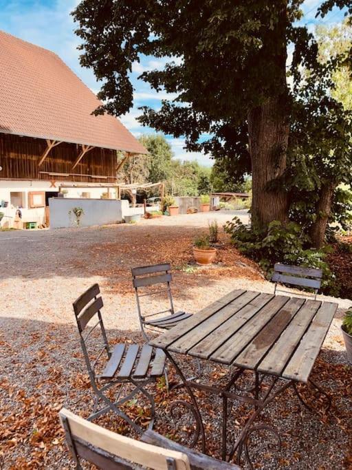 Zauberhafte Ferienscheune Im Hofgut Alte Oelmuehle Енген Екстериор снимка